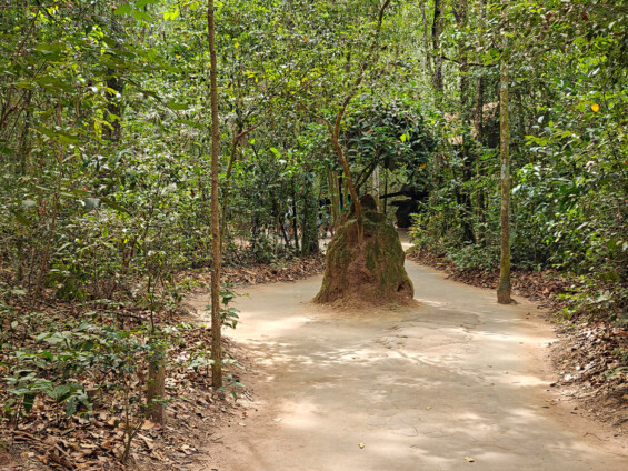 In Termitenhügeln versteckte Belüftungsröhren