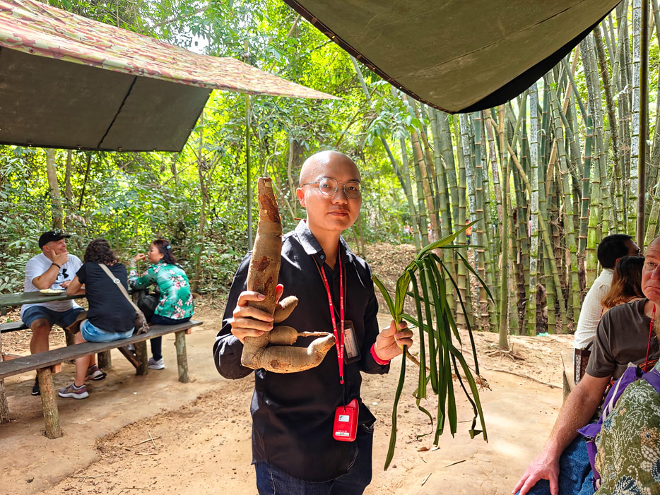 Kassava - Maniok-Wurzel